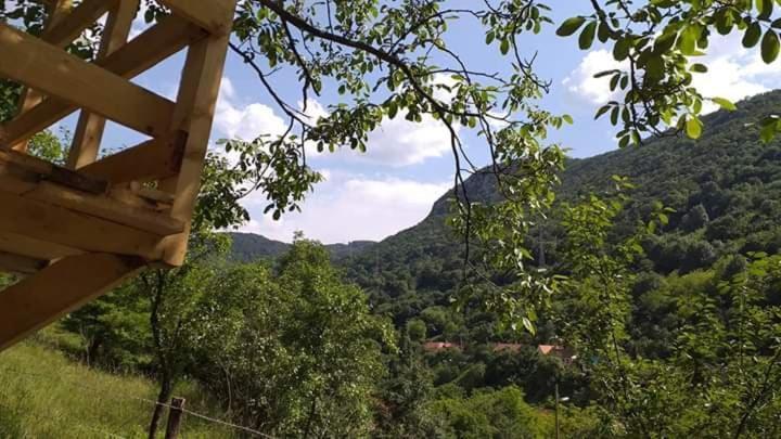 Andrei Villa Sasca Montana Exterior photo