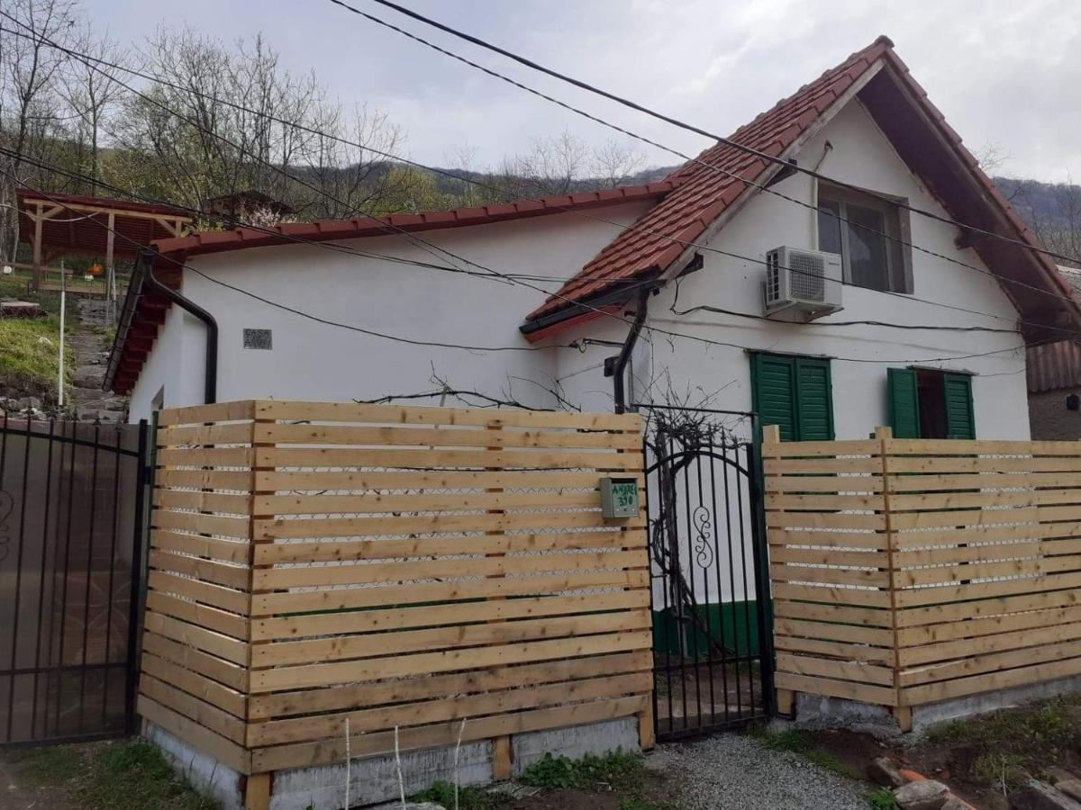 Andrei Villa Sasca Montana Exterior photo