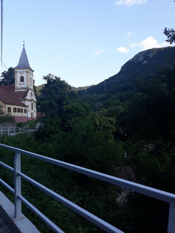Andrei Villa Sasca Montana Exterior photo